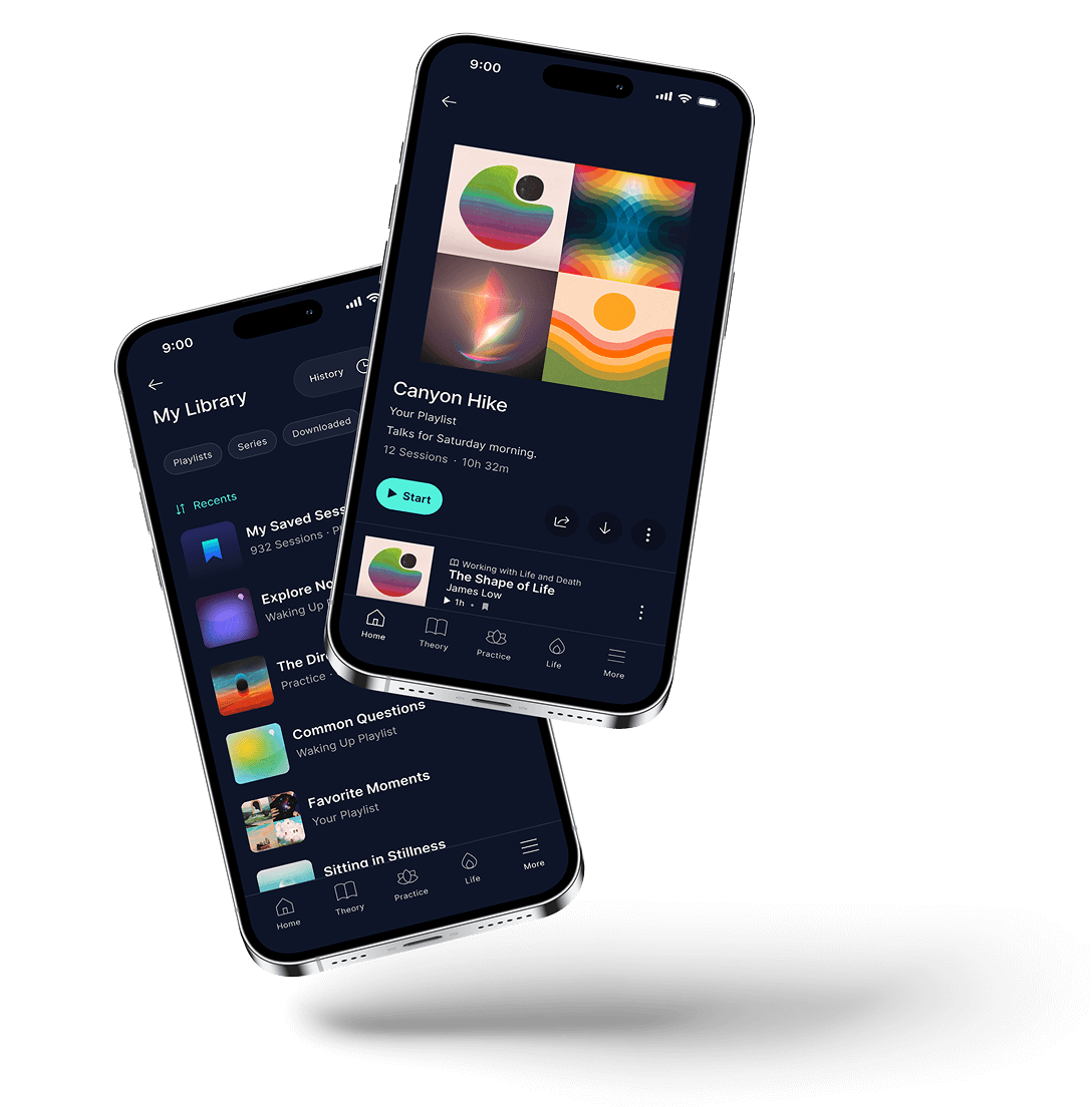 Playlists screen